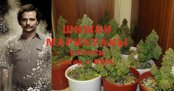 бошки Майский