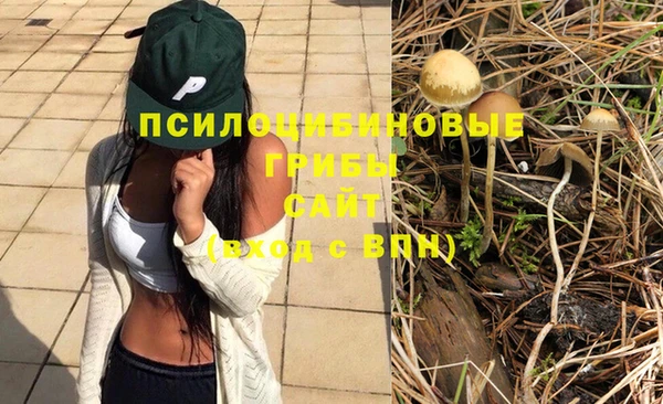 jwh Магас