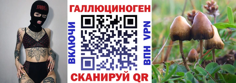 Псилоцибиновые грибы ЛСД  Ясный 